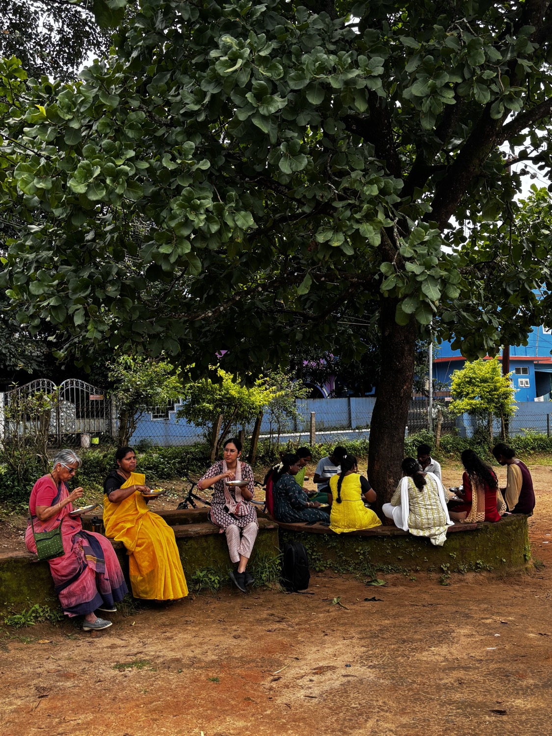 Group seated in a circle around a large shade tree on a circular platform, working and talking