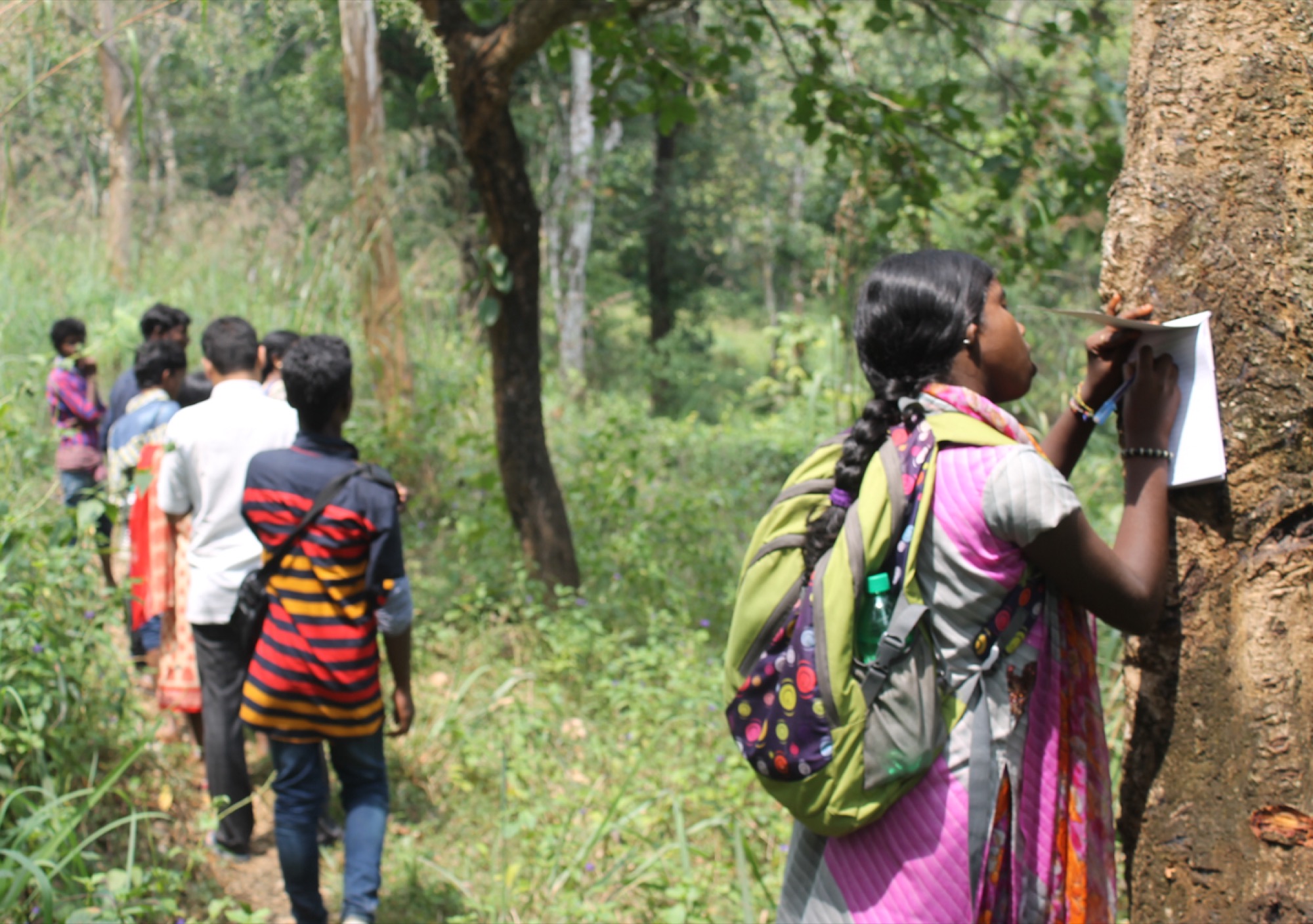 Students doing forest fieldwork, a girl with backpack writing notes at a tree while others walk a forest trail